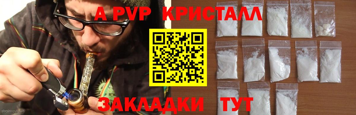 Альфа ПВП СК Кондопога