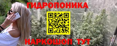 PSILOCYBIN Тулун