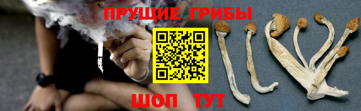 Псилоцибиновые грибы ЛСД  Вход с VPN  Кондопога  Псилоцибиновые грибы Cubensis 